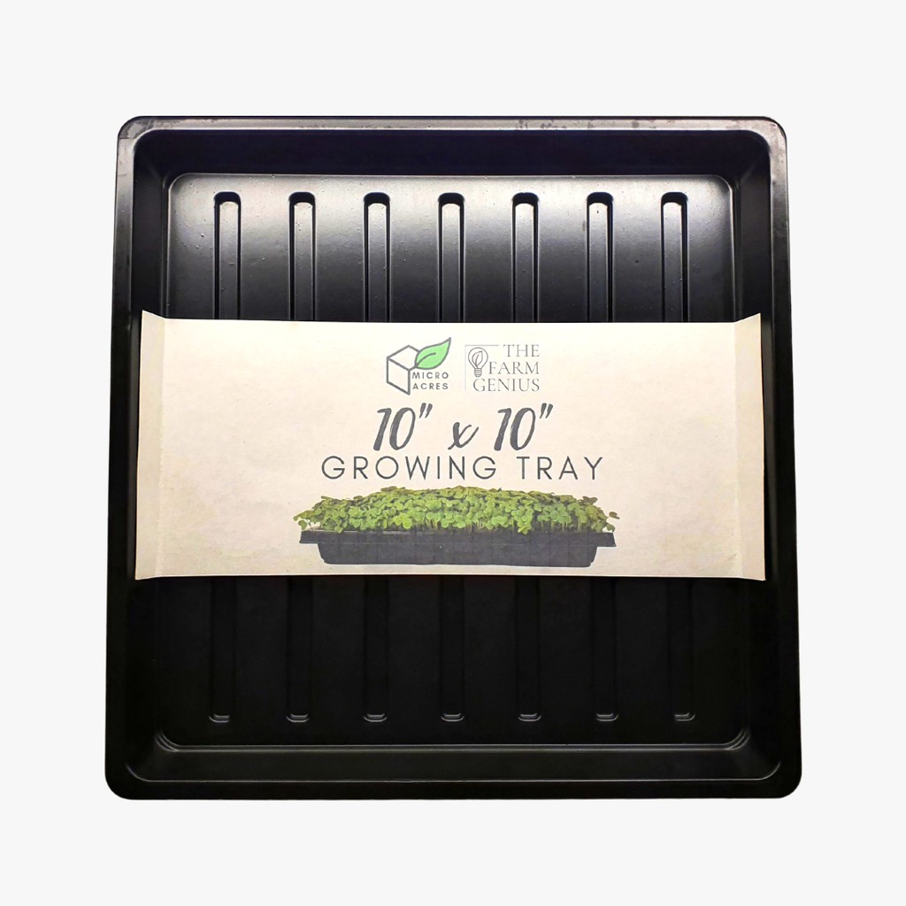 1 Piece Microgreens tray 10x10 inches (Without Holes) | Lazada PH