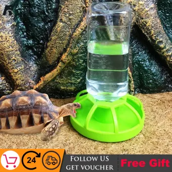 reptile water dispenser