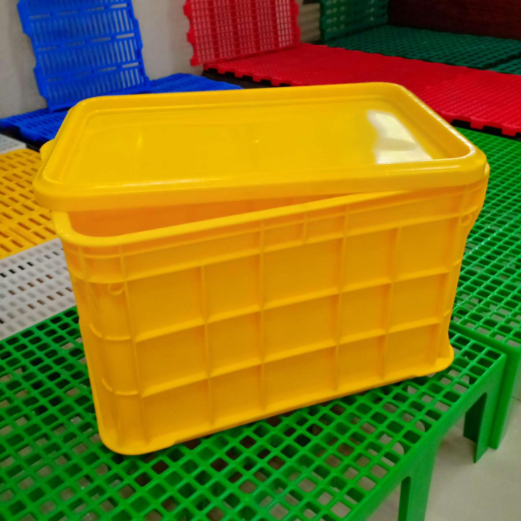 Crate With Lid (20in x 14in x 12in) Large / Storage Box , Storage