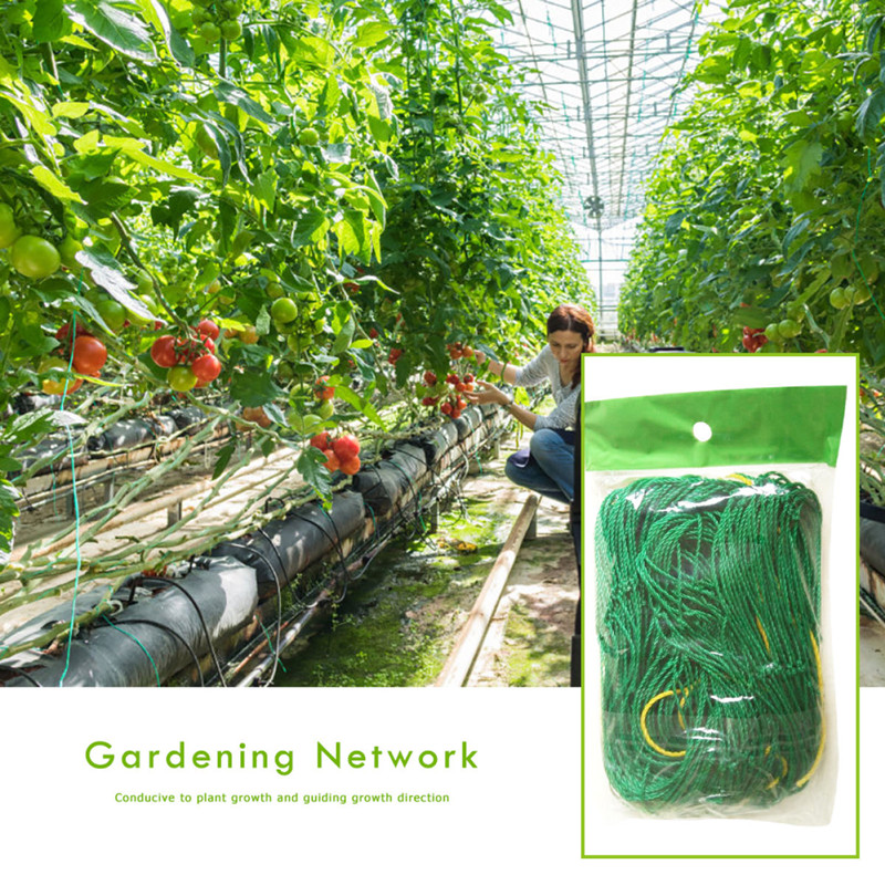 Plant Climbing Netting Nylon Flower Vine Support Rope Greenhouse Garden ...