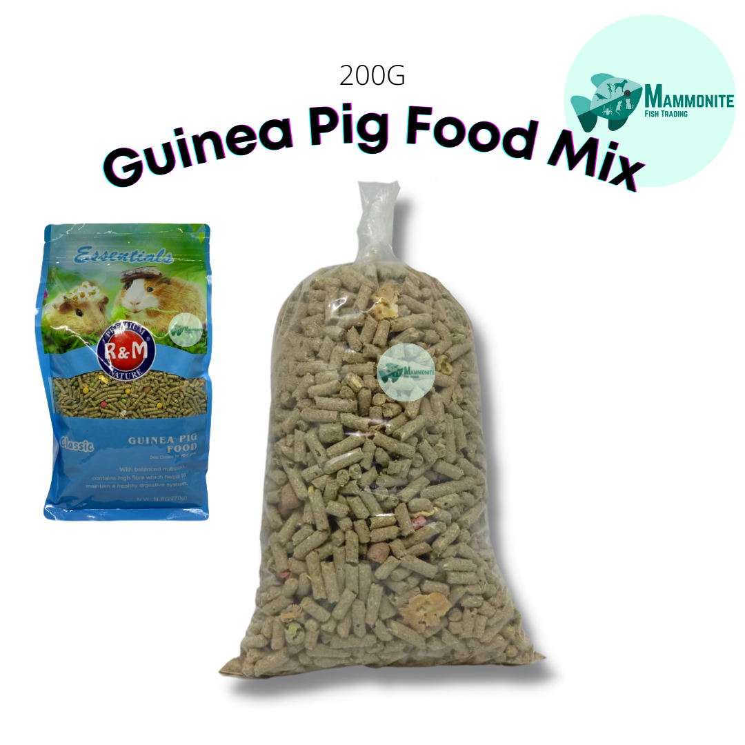 Mini Happy Branded Kusot Scented 50 Grams Wooden Shavings for Hamsters