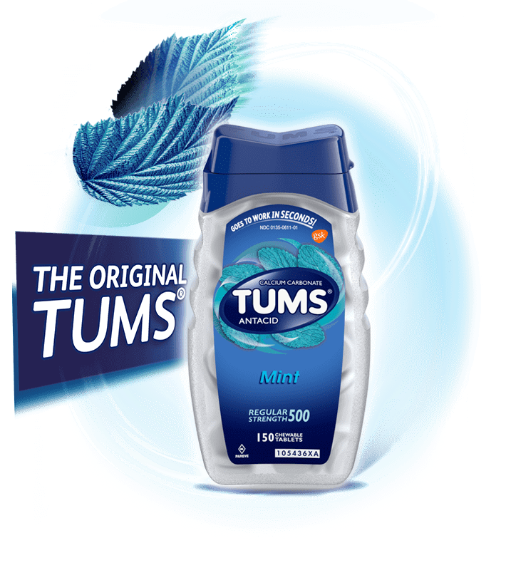 Can Dogs Have Peppermint Tums