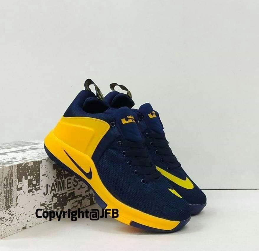 lebron witness 2 blue