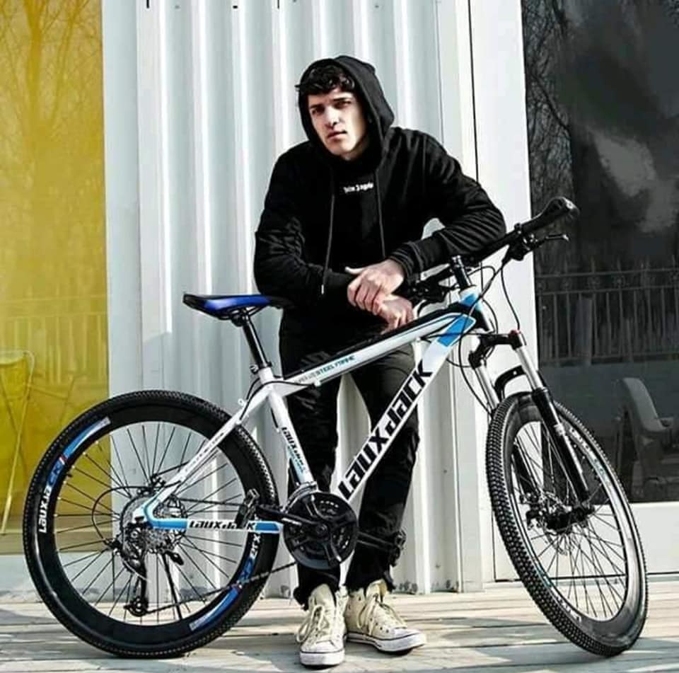 stepdragon folding bike