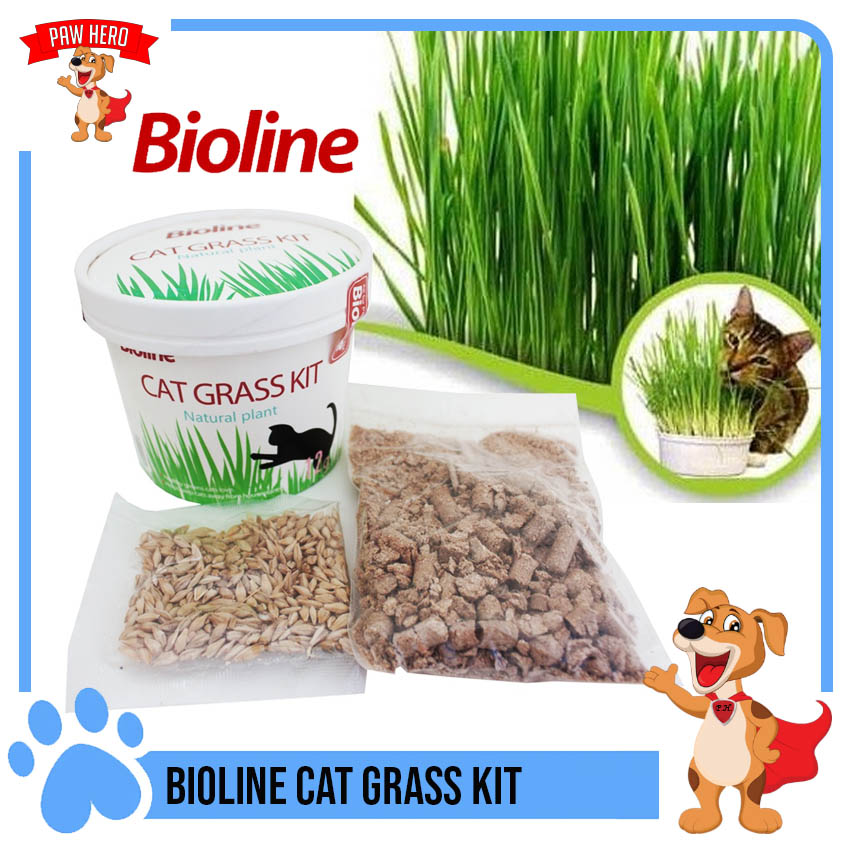 PAW HERO Bioline Cat Grass Kit Natural CAT GRASS Seeds 12g (No Specific
