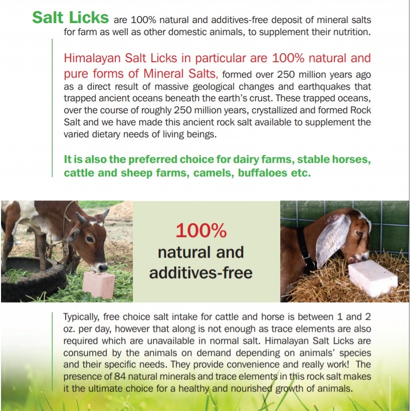 Goods for Pets 2kg Animal Himalayan Lick Salt Licking Salt Block