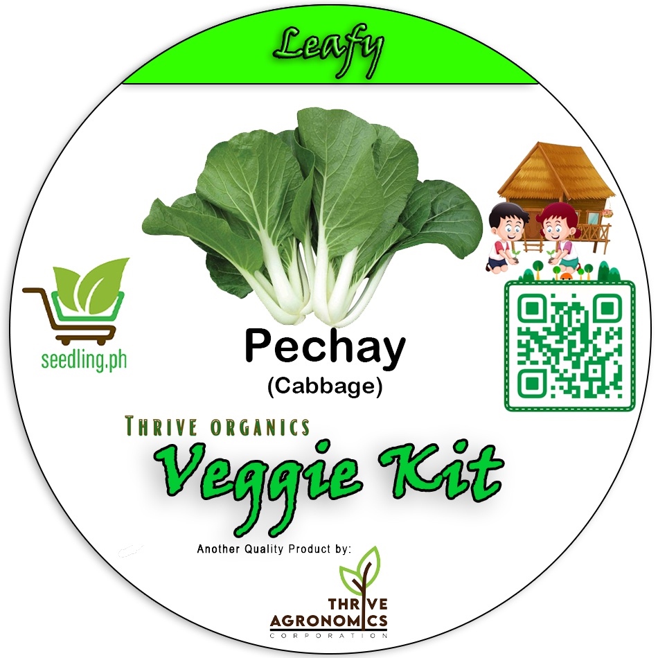Pechay Tagalog Green Leafy Veggie Kit Grow Kit Seedling Kit Starter Kit