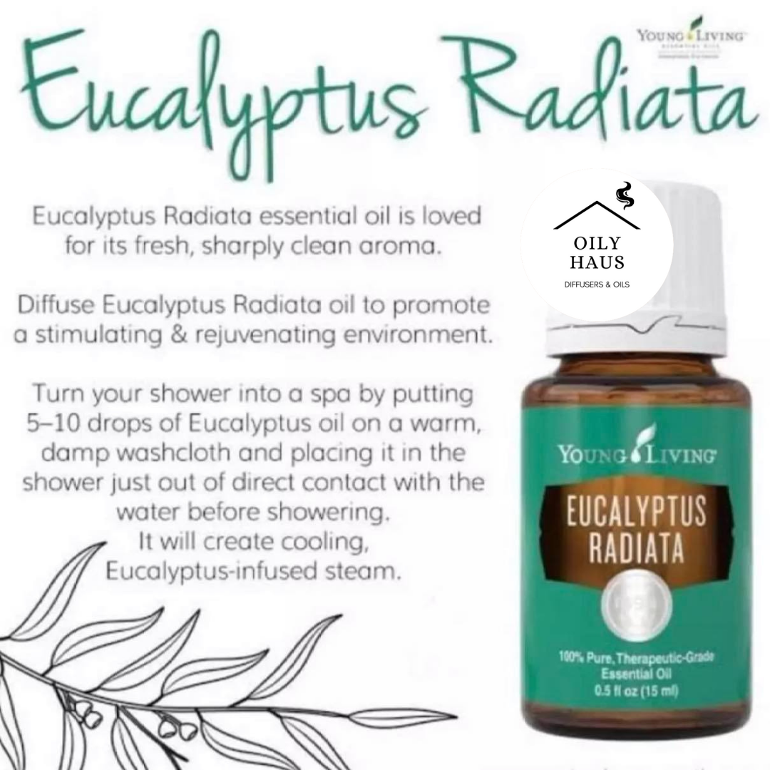 Young Living Eucalyptus Radiata Essential Oil 15ml Lazada PH