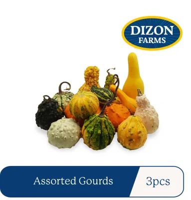 Dizon Farms - Assorted Gourd