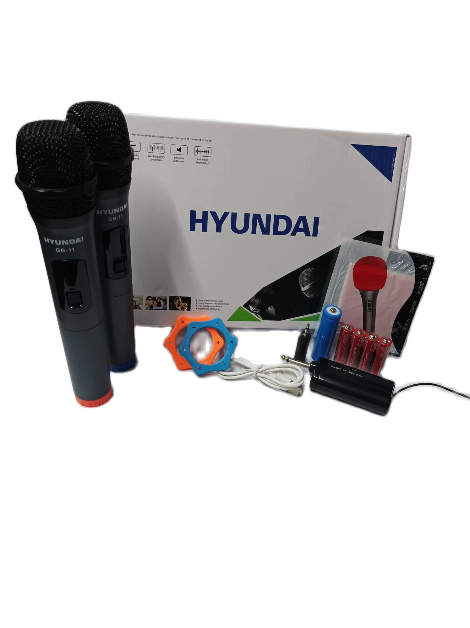 HYUNDAI 2in1 UNIVERSAL WIRELESS MICROPHONE GB-11 | Lazada PH