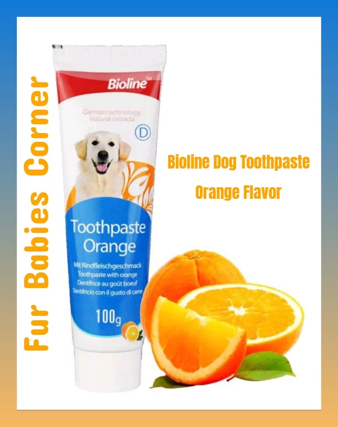 Bioline Dog Toothpaste Orange Flavor 100g (Toothpaste only) Lazada PH