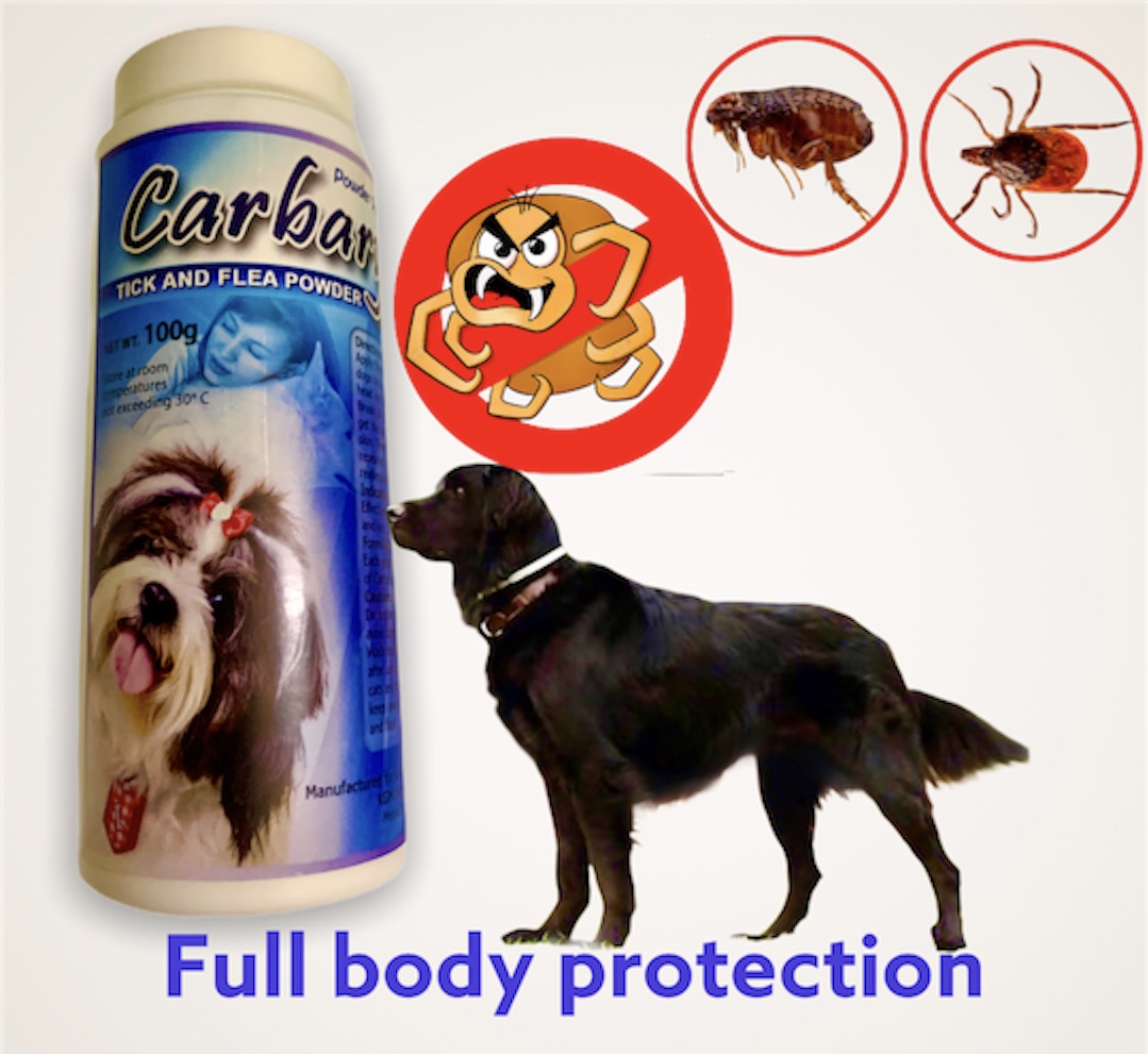 CARBARYL POWDER ANTI TICKS AND FLEAS KILLER ANTI SMELLY PET REMOVER