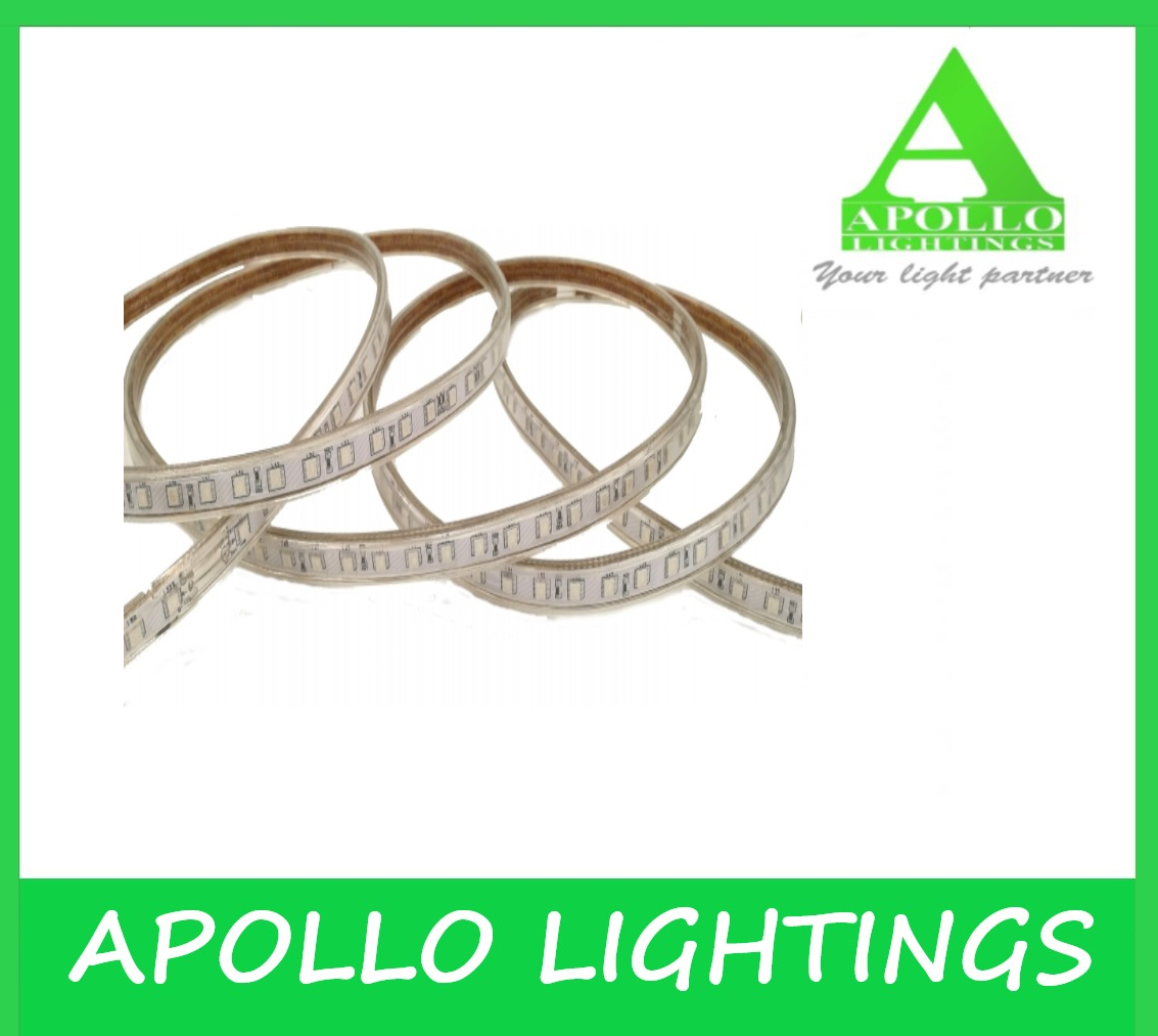 Apollo Led APOLLO LED STRIP LIGHT PER METER CUT SIZE DAY LIGHT & WARM LIGHT SRL ...