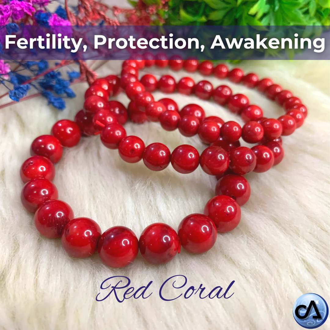 Natural red coral 8 mm round smooth beads stretchable 7 inch bracelet   Healingmeditationprosperity  Mangtum