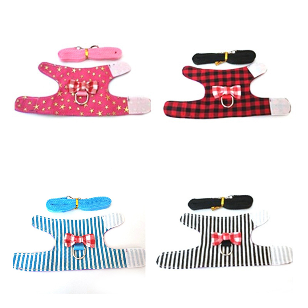 Pet Squirrel Harness & Leash Set - Adjustable Vest For Small Animals Like Ferrets & Rabbits