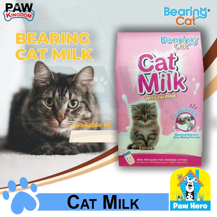 special offer Bearing Cat Milk with Tourine Milk Replacer for Growing