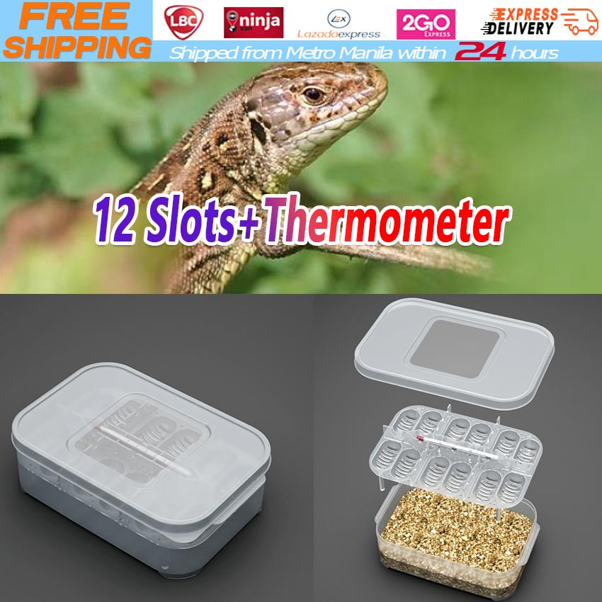 Reptile Egg Tray Snake Lizard Egg Hatching Incubator Box Gecko