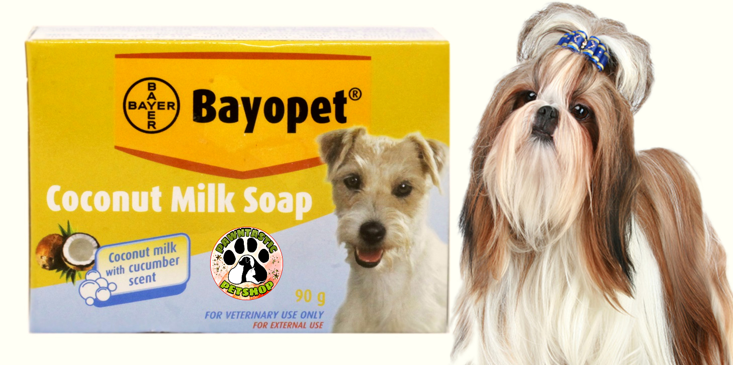 Is Coconut Milk Good For Dogs Skin