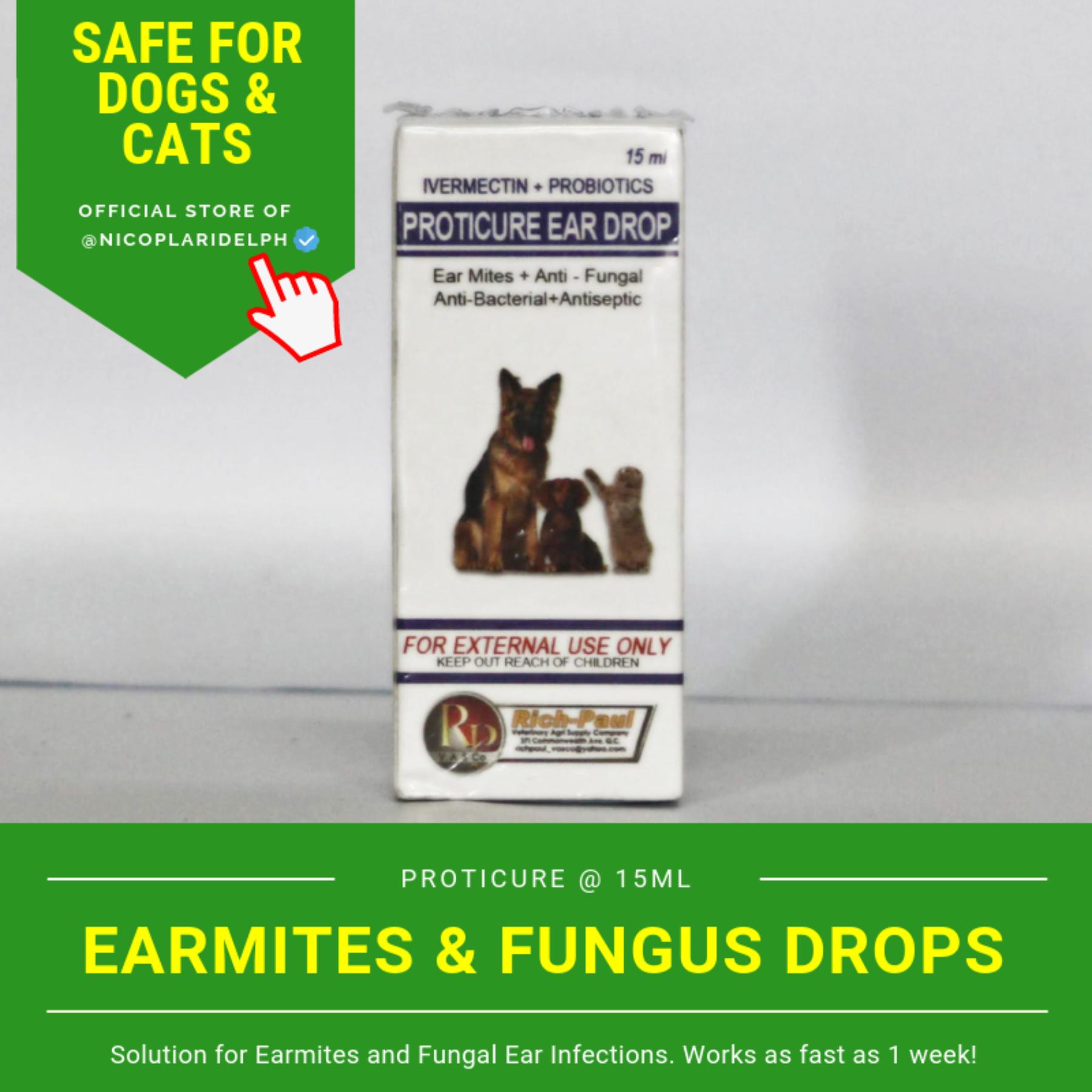 anti inflammatory ear drops for dogs