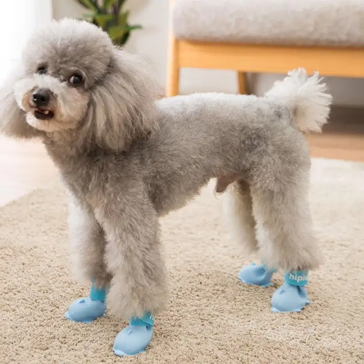 dog rain boots