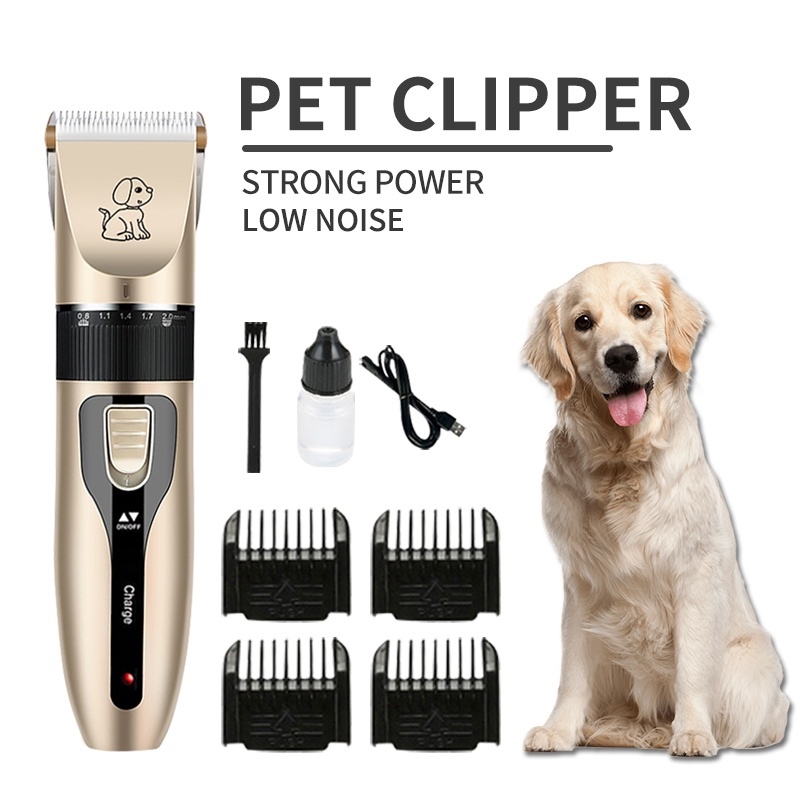 Dog 2025 razor lazada