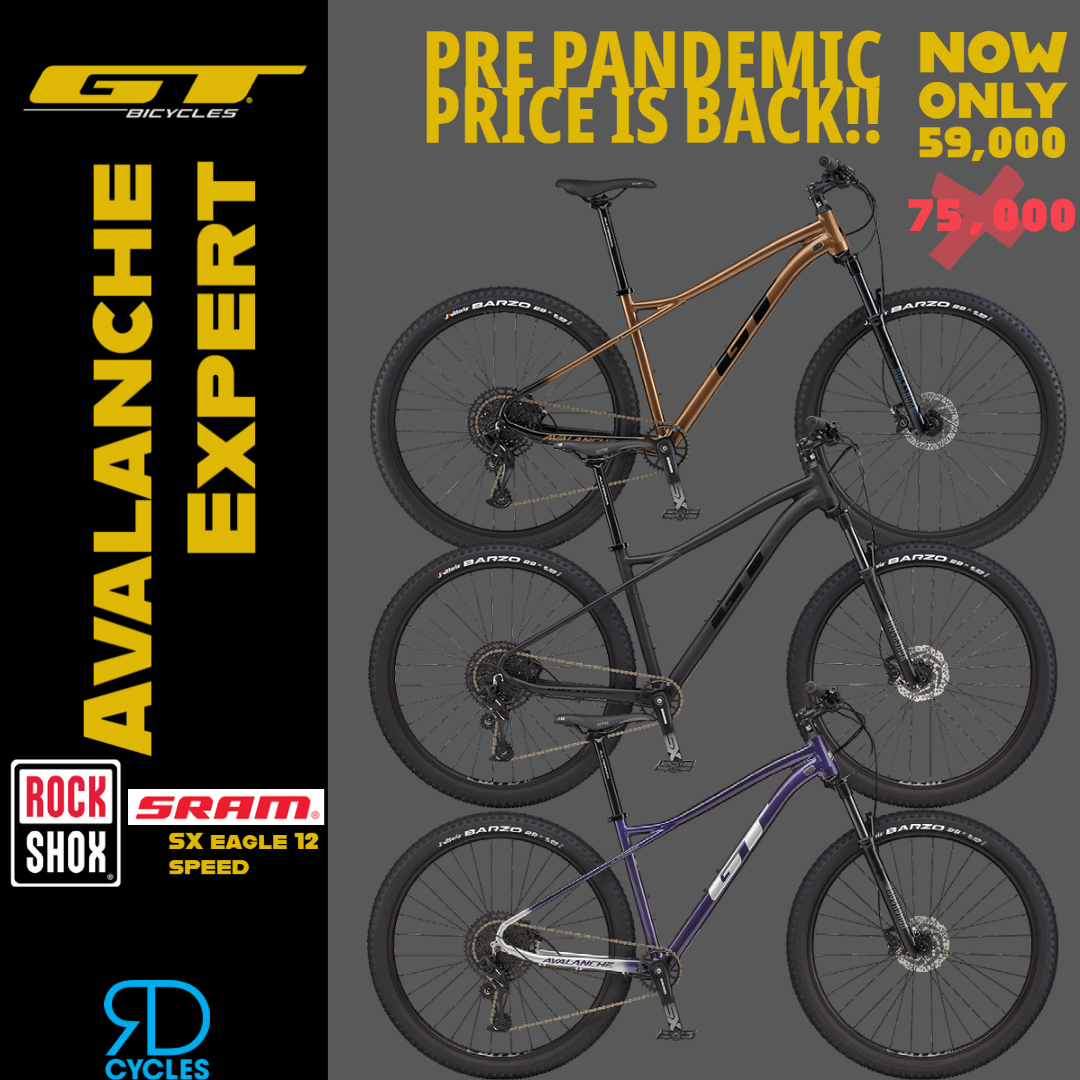 GT Avalanche Expert Mountain Bike Bicycle And 29 Inch Wheels