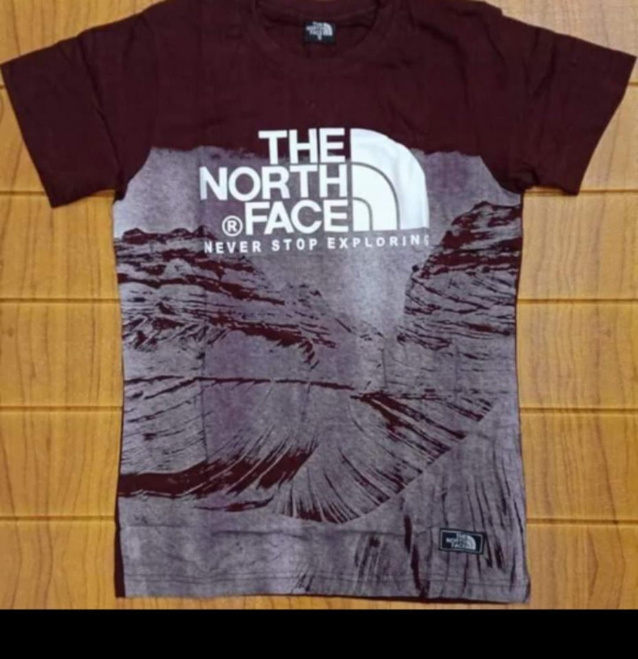 t shirt the north face original
