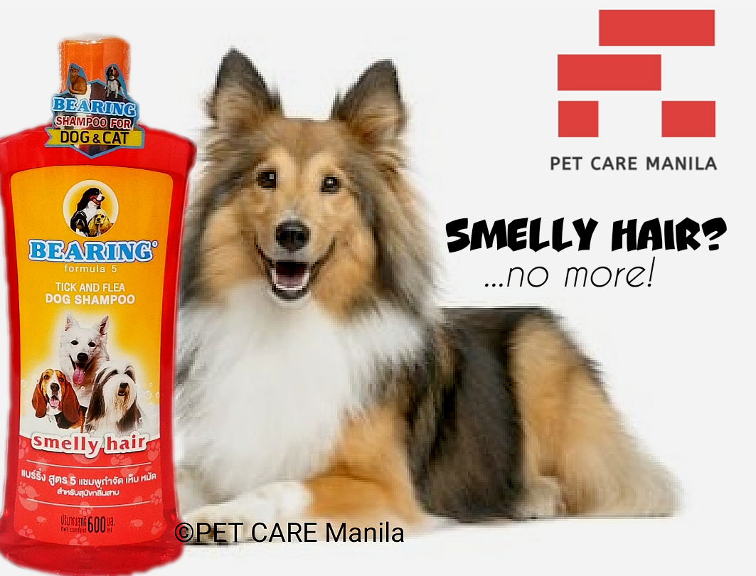 Bearing Dog Shampoo 600ml Formula 5 for Smelly Hair Tick & Flea Dog