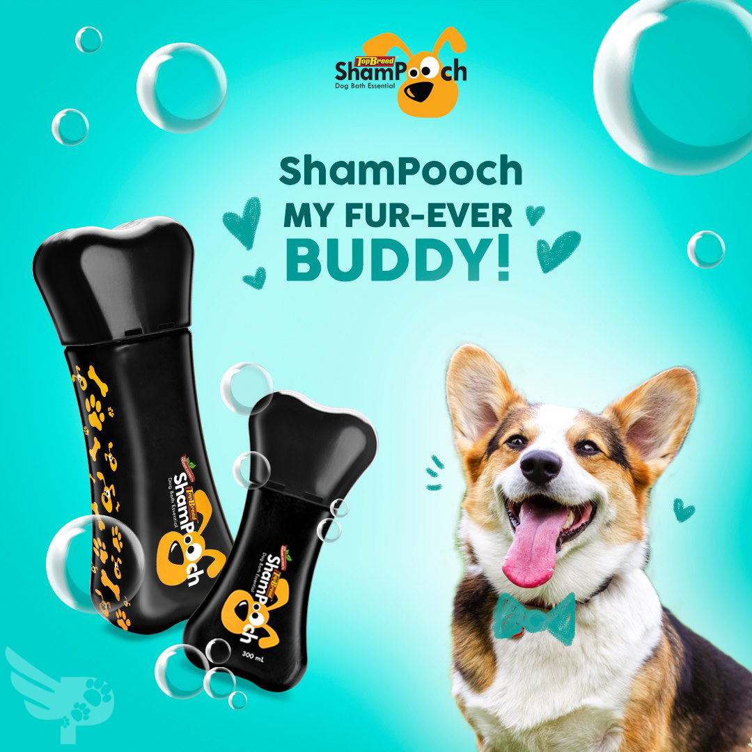 Shampooch 1L Dog Shampoo TopBreed Shampoo By Universal Robina