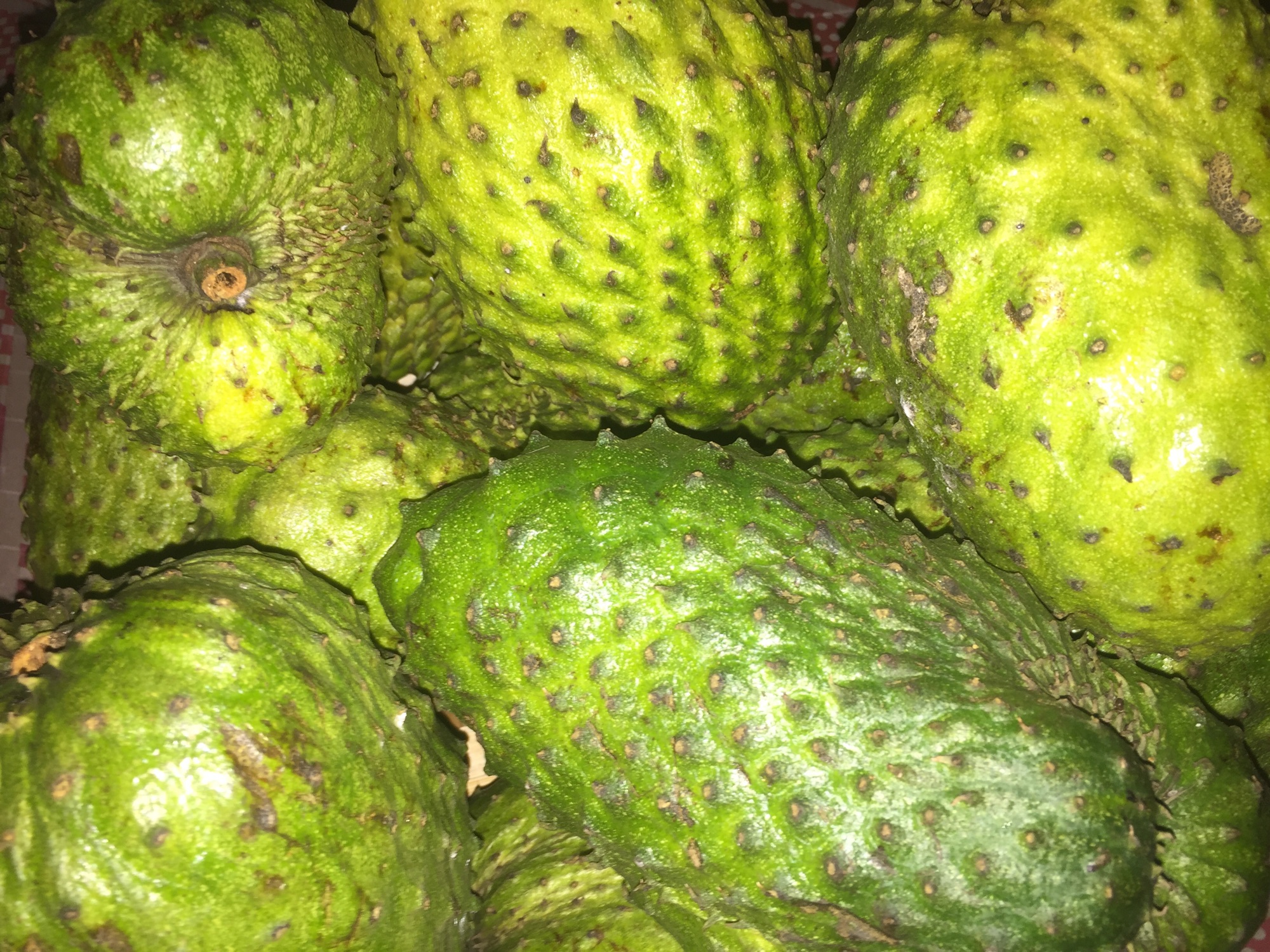 Guyabano fruit fresh from davao Lazada PH