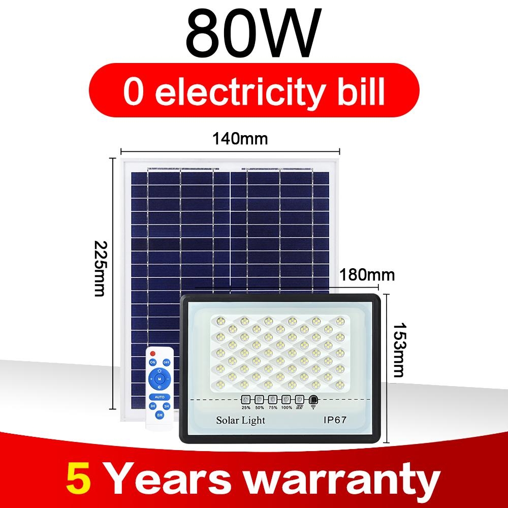 TEMU Solar Lights Buy 1 Take 1Street Lamp Outdoor Waterproof LED Flood