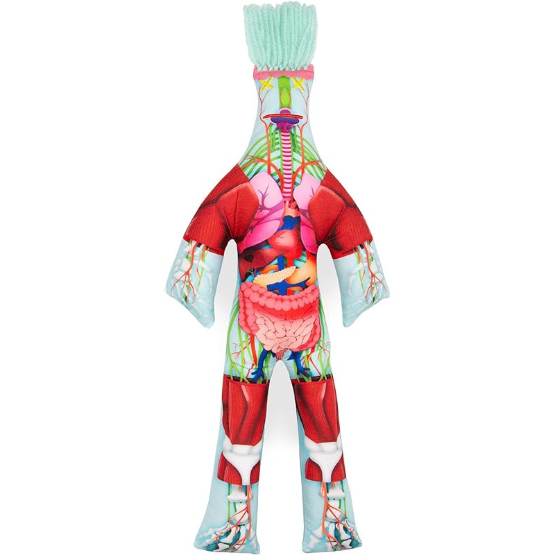 Dammit Doll - Limited Edition - Dammit Skeleton Doll - Stress Relief, Gag  Gift