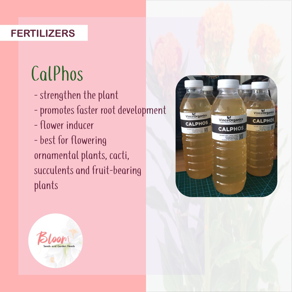Calphos Fertilizer Philippines – KUNYPG