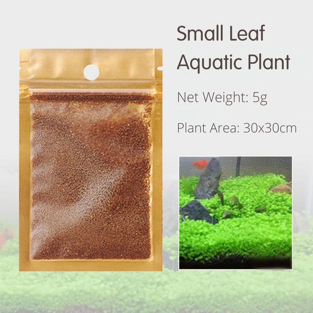 【Petcher】 Fish Tank Aquarium Aquatic Plant Seed Decoration Help To