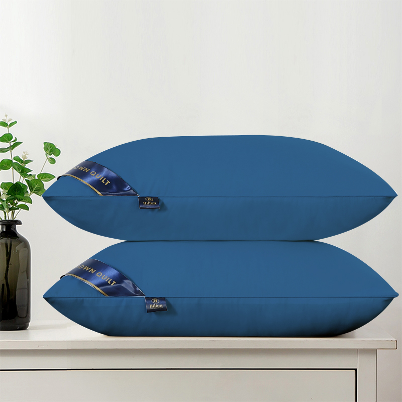 Hilton Hotel Pillow Buy 1 Take 1 Queen Size 29"×19" Bed Pillows for