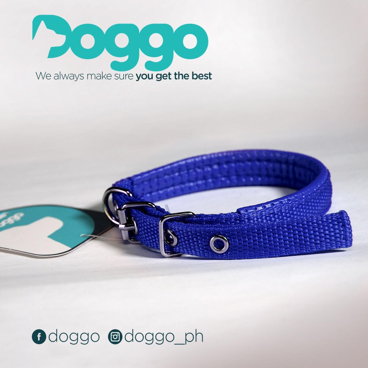 dog collar belt online