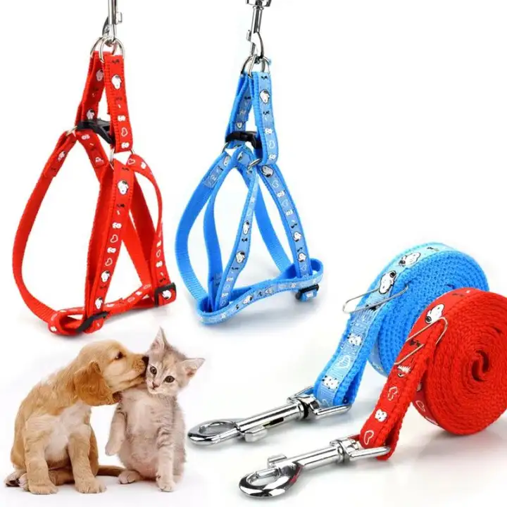 cat harness lazada