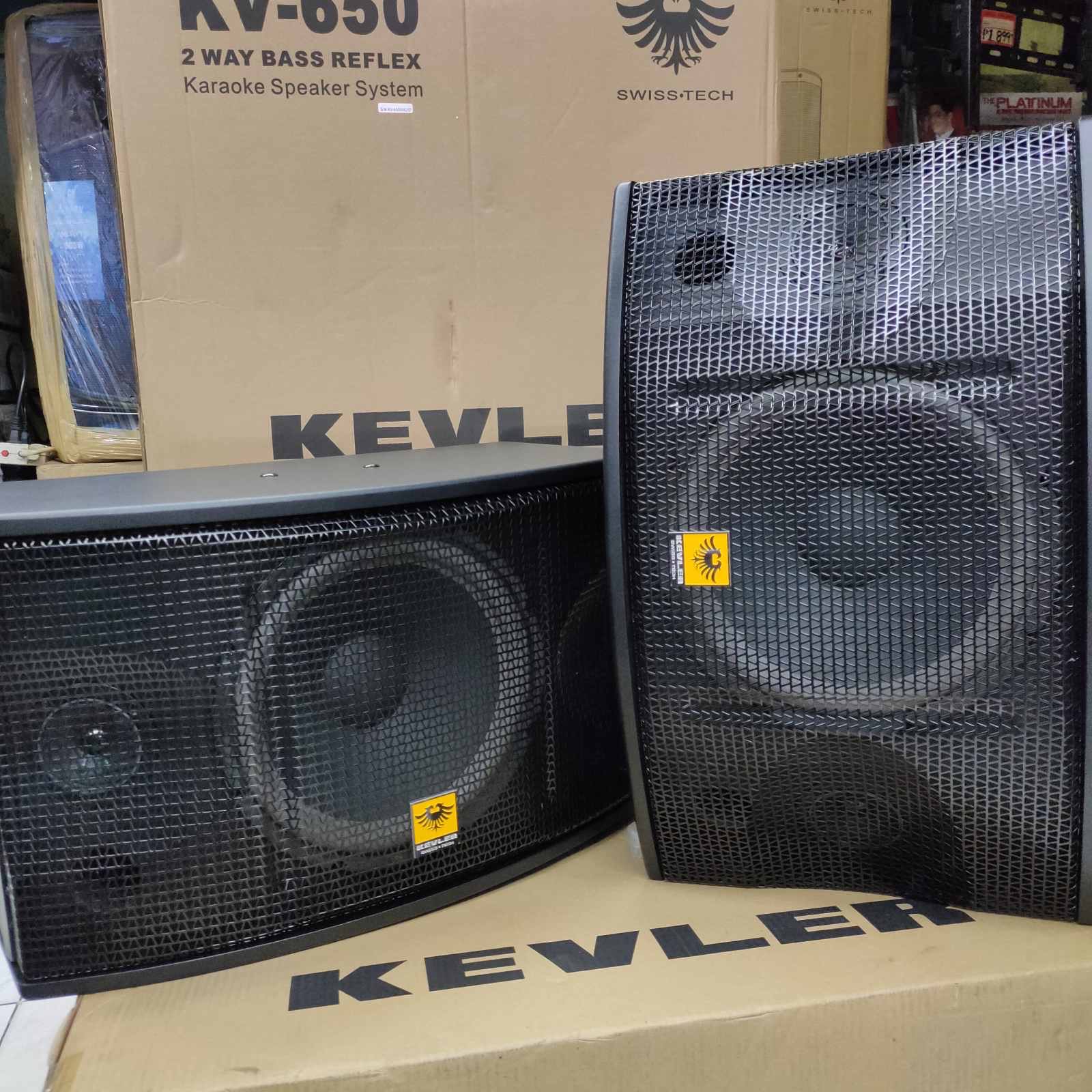 kevler karaoke speaker