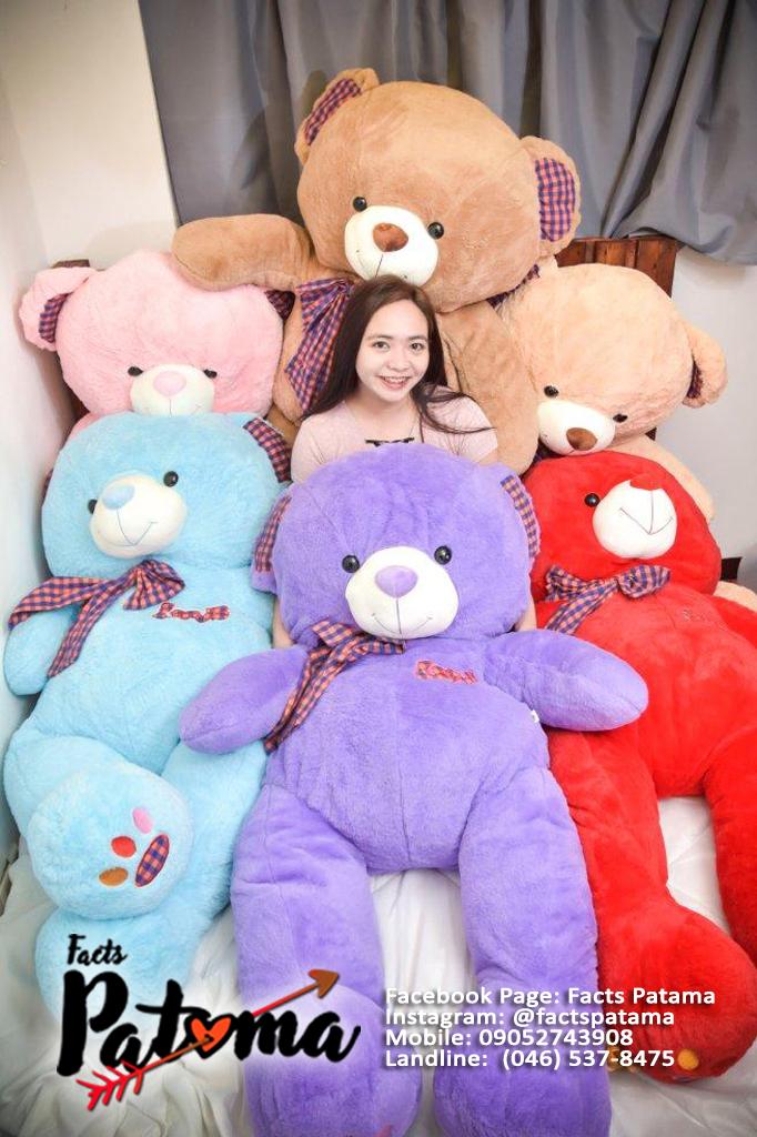 human size teddy bear lazada