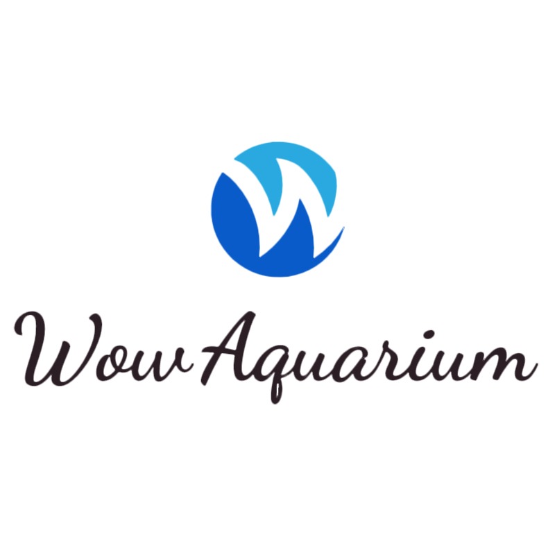 Shop online with Wow Aquarium now! Visit Wow Aquarium on Lazada.