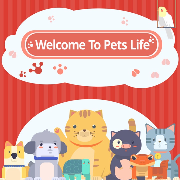 a pet's life online shop