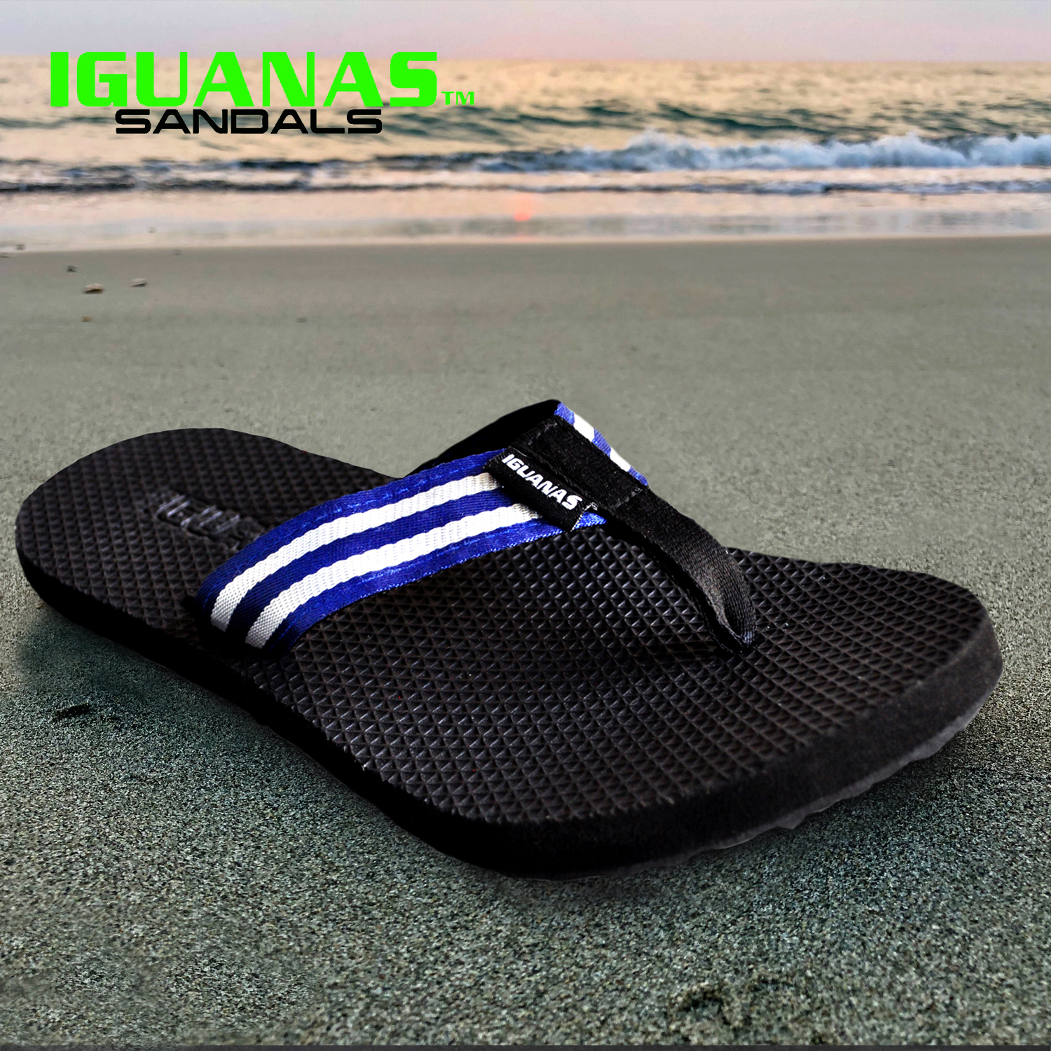 iguana slippers