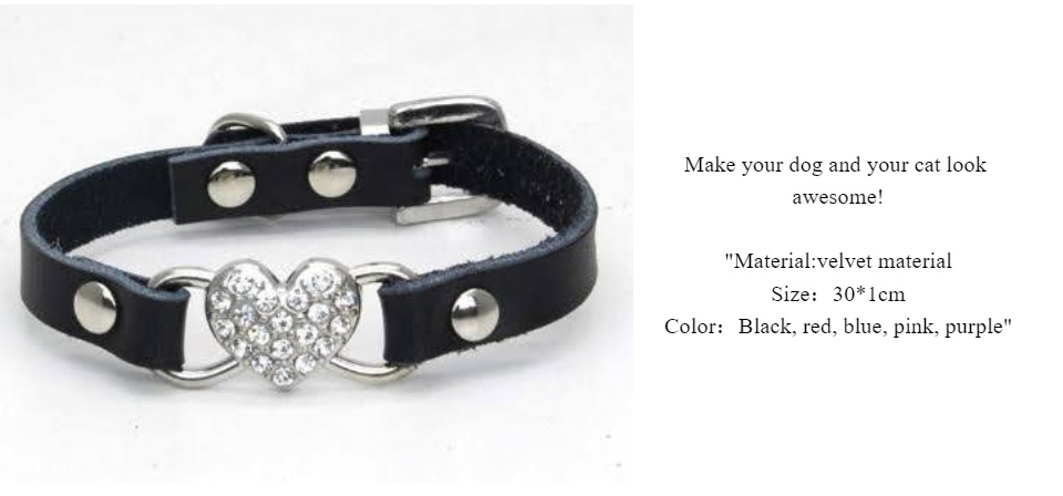 blue velvet dog collar