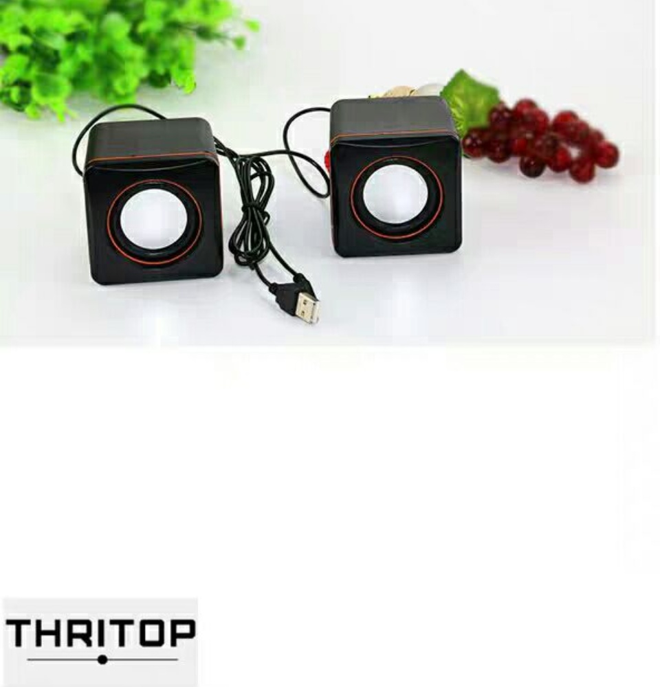 portable computer speaker