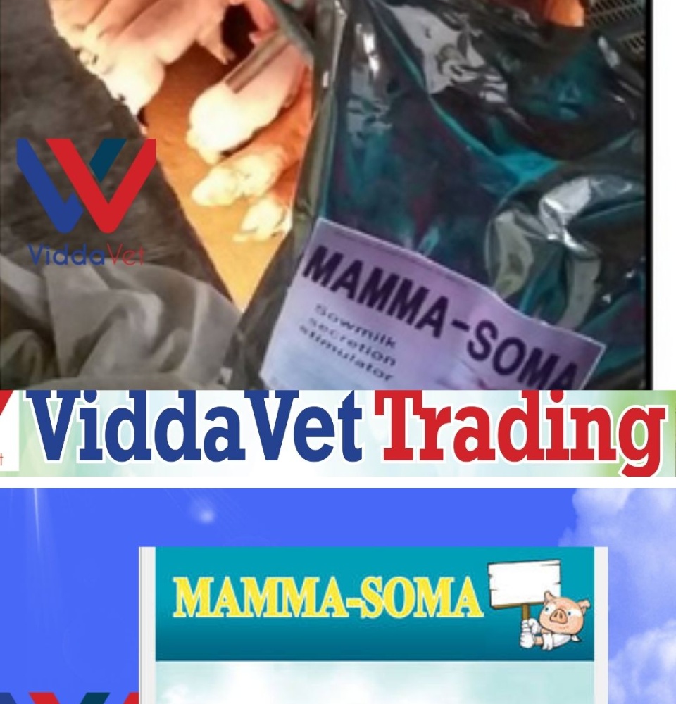 MAMMA-SOMA(Sow Milk Stimulator)/kl Mama Soma milk enhancer for sow pig