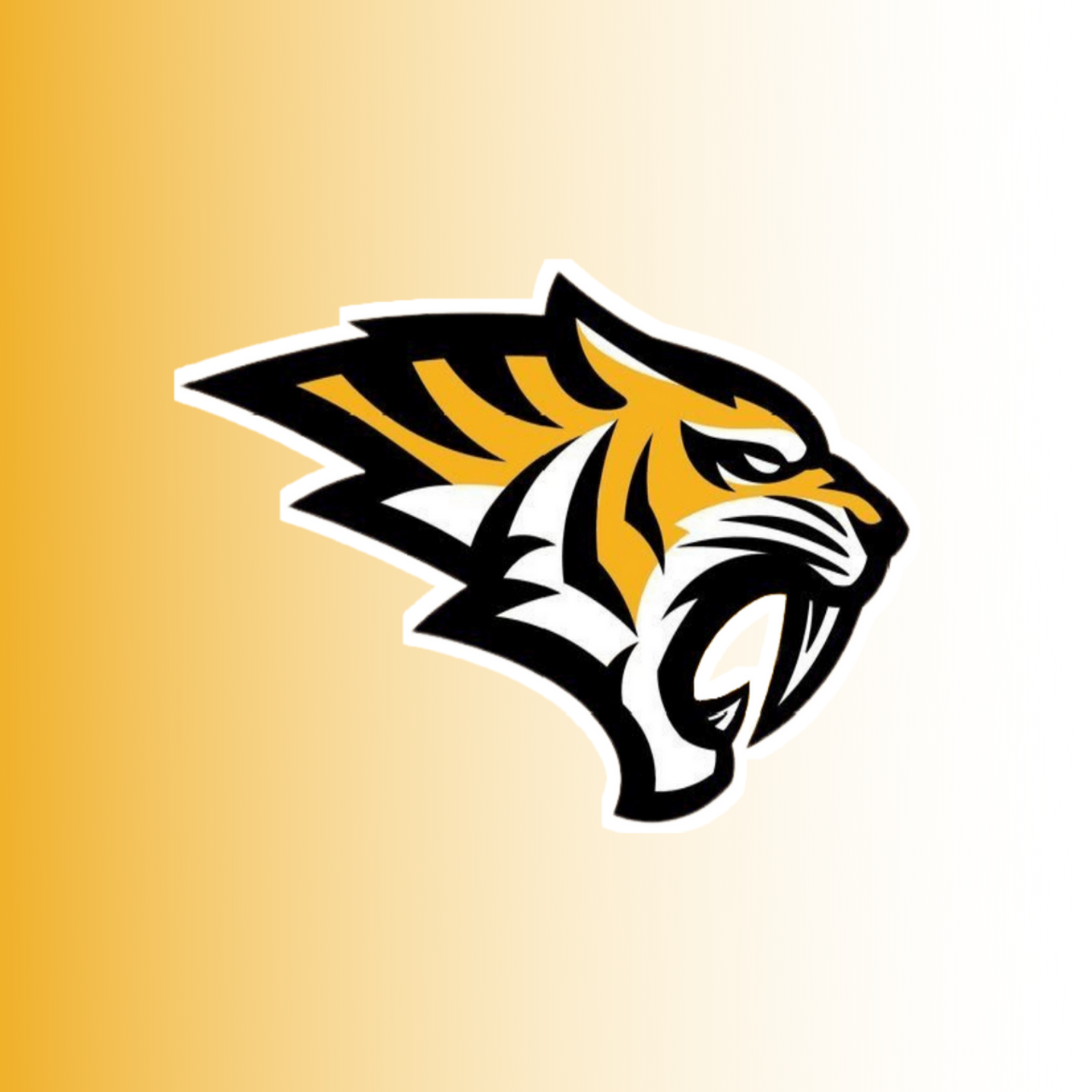 Shop online with Orozco Store now! Visit Orozco Store on Lazada.