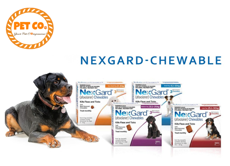 nexgard 1 month