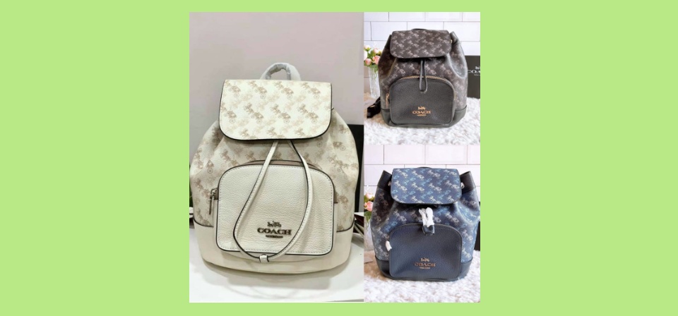 Coach jes backpack with best sale horse and carriage print