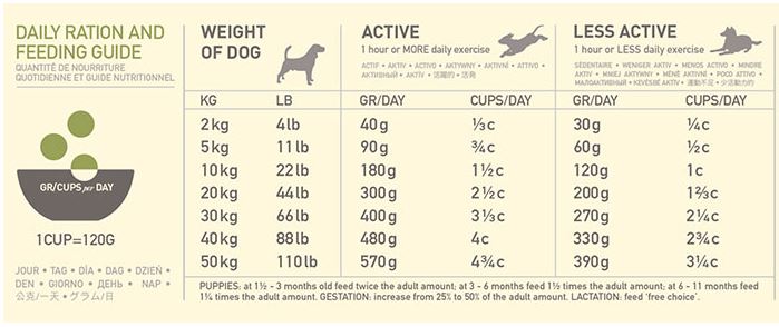 acana yorkshire pork dog food