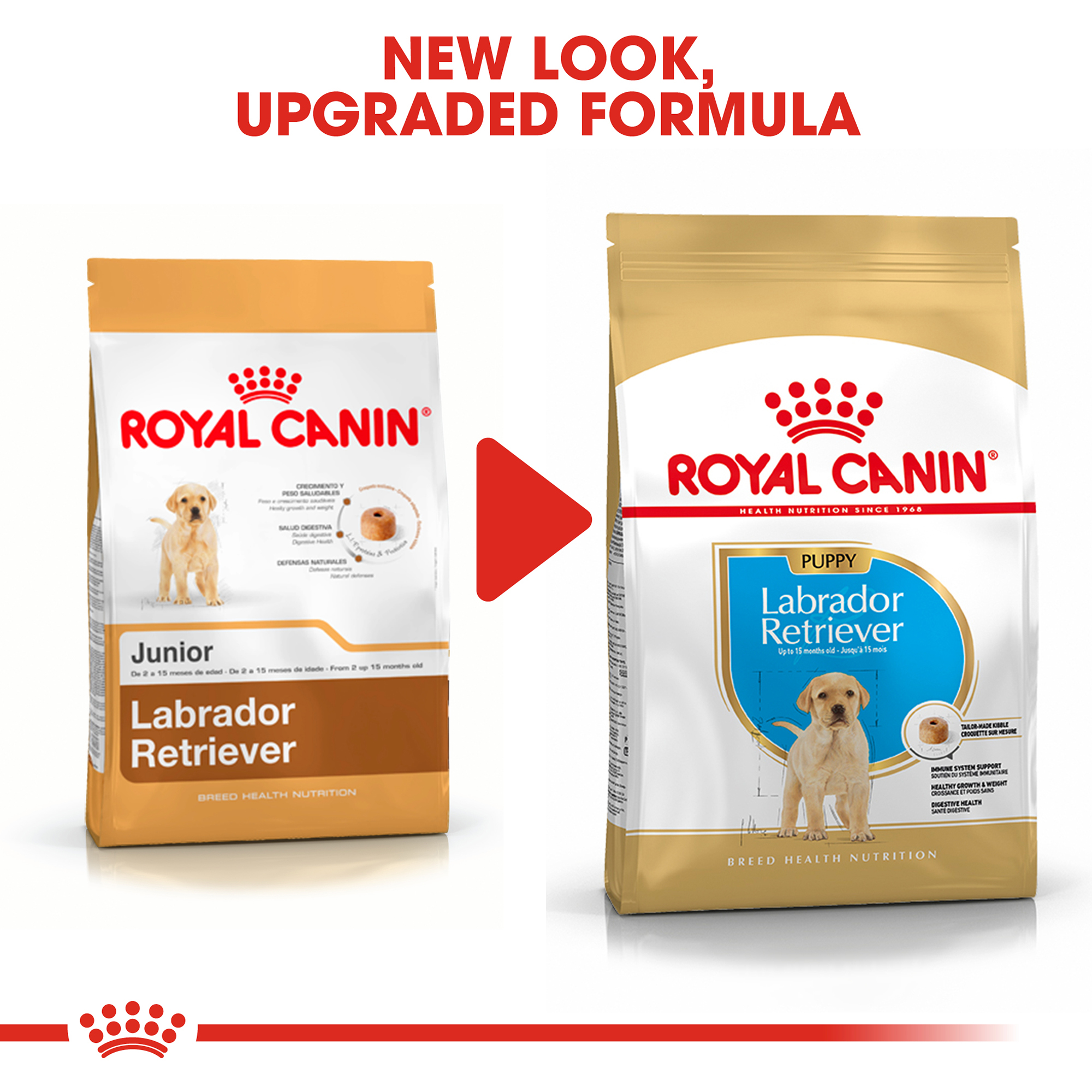 royal canin labrador junior 1kg